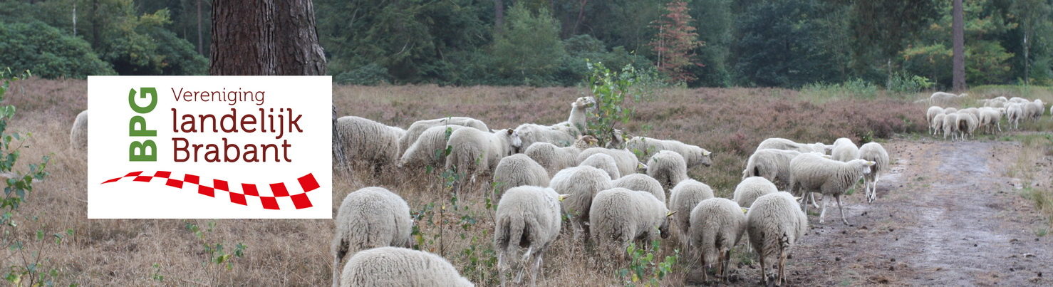 BPG Vereniging landelijk Brabant